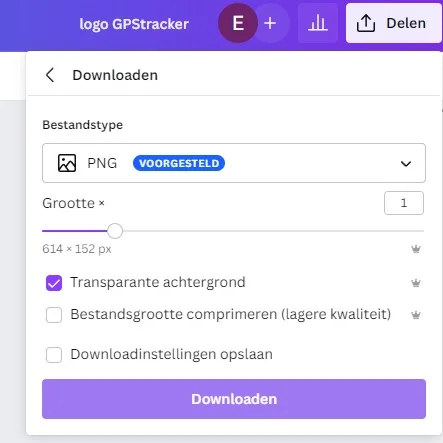 Logo website opslaan bestandsformaat Canva